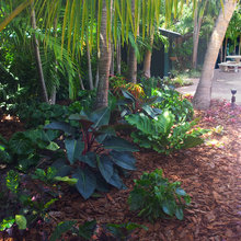 Landscaping - front