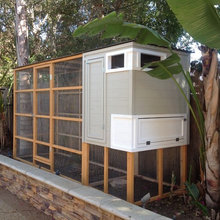 Chicken Coop