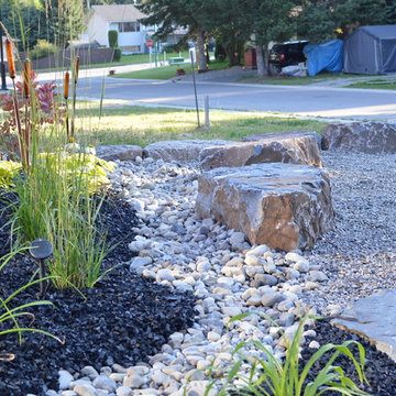 New yard Design