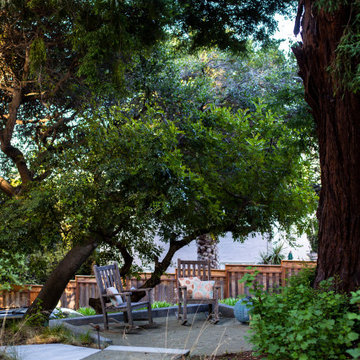Berkeley Kid-Friendly Backyard