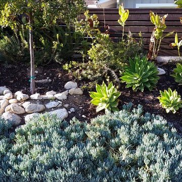 General Clean-up & Plant Additions