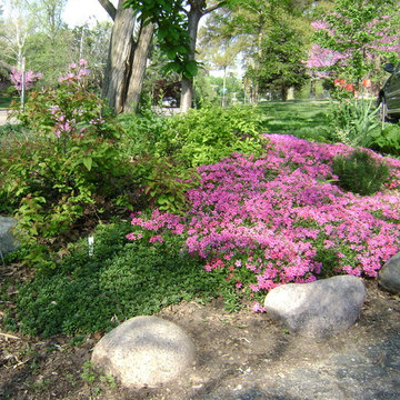 DYI Landscape - No Retaining Wall or Curb Necessary
