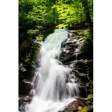 Fine Art Photograph, Deep Woods Waterfall II, Fine Art Paper Giclee