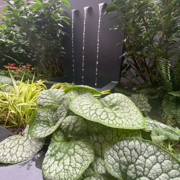 Shady Zen Garden in NYC