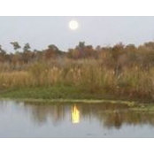 Wanda Crouse Farley's photo