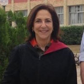Robin Katzs billede
