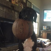 Lynn Cohen's photo