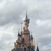 Dania Idrees's photo
