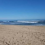 Debbie Skinner's photo