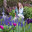 Julia Garriga Garden Design