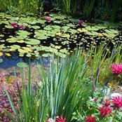 Maria Geder's photo