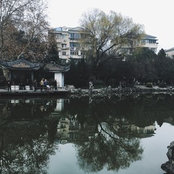 Bezantee Bao's photo