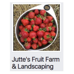 Juttes Fruit Farm and Landscaping