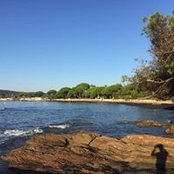 Jerome Dalidet's photo