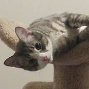Donna Corbett's photo