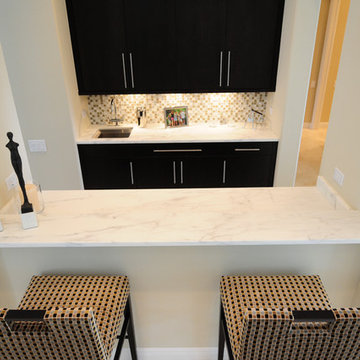 Avila - Transitional - Contemporary Kitchen Upgrade