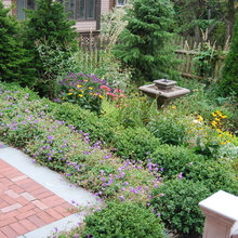 Back yard reno