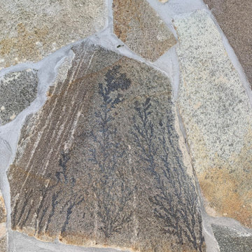 Beautiful Flagstone came w/ fossil