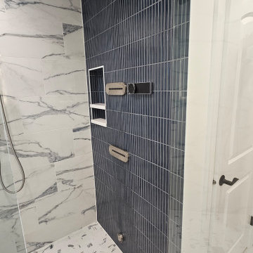 Master Bathroom Remodel