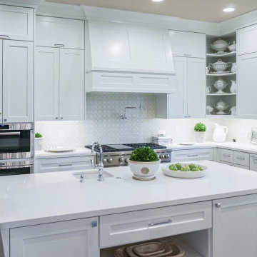 Elegant Crisp Transitional Kitchen Remodel