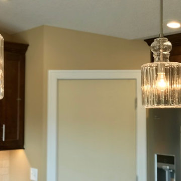 Sherrard IL New Construction Koch Cabinets Birch Mocha MSI Quartz
