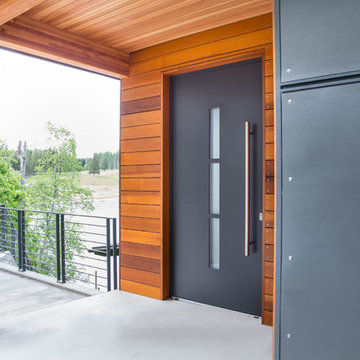 Modern Entry Door