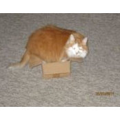 Dawn Bohnlein's photo