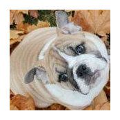 Vicki Rigdon's photo