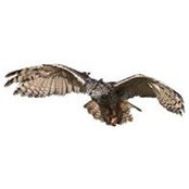 Larry Sherman's photo