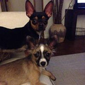 Kellee Landis's photo