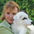 Ideal Design Systems, Inc.'s profile photo