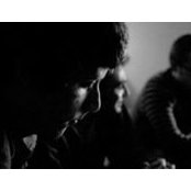 Brendan D's photo
