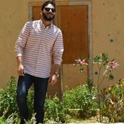 Mahmoud Adel's photo