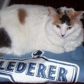 Ian Lederer's photo