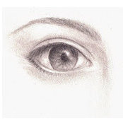 Michelle Frechette's photo