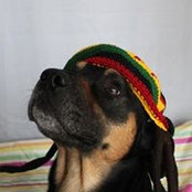 Kathy Combs's photo