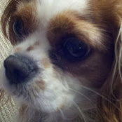 Peggy Ratliff's photo