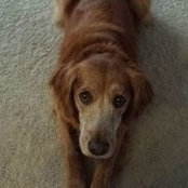 Christine Sayles's photo