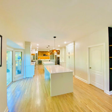 Ann Arbor Remodel