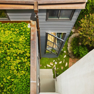 view from above