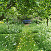 Woods Path