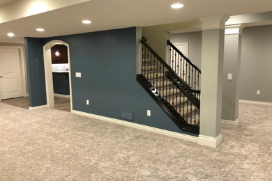 Transitional basement photo in Detroit