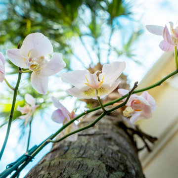 Mariposas Pointe: Walkway