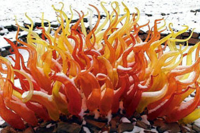 Fire Coral - Blown Sconces and Chandeliers