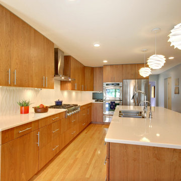East Grand Rapids Whole House Remodel