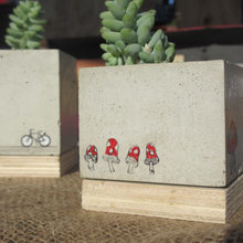 Plants