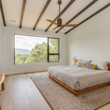 Contemporary Bedroom