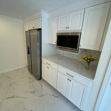 Modern kitchen renovation