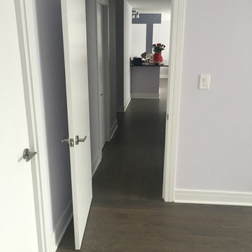 Arlington Heights, IL. Full remodeling: before & after Pictures.