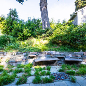 Grassy Meadow Oasis - Reduces Waste While Increasing Habitat